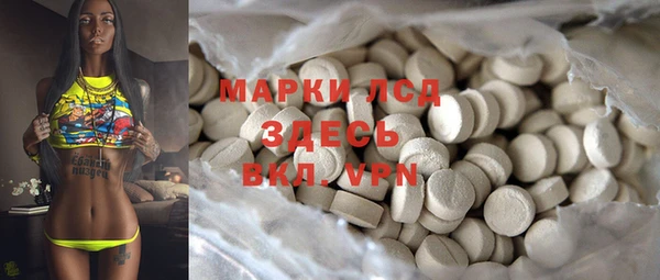 метадон Ельня