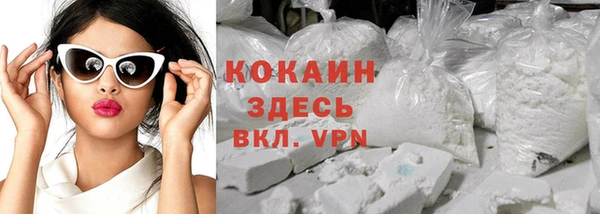 метадон Ельня
