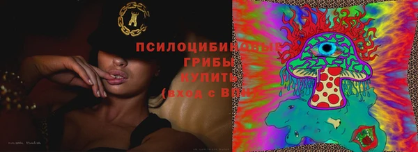 метадон Ельня