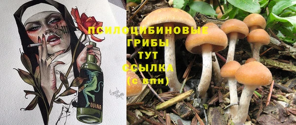 метадон Ельня