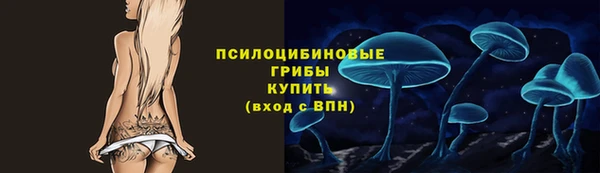 спиды Елабуга