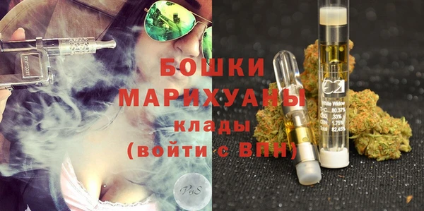 метадон Ельня