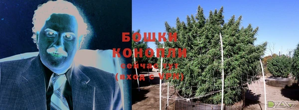 спиды Елабуга
