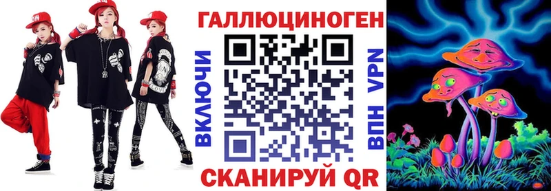 kraken зеркало  Теберда  Галлюциногенные грибы Cubensis 