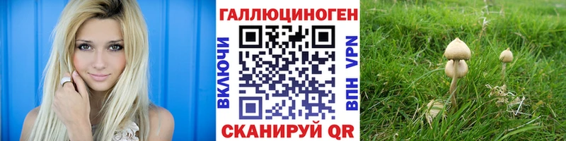 Псилоцибиновые грибы мицелий Теберда
